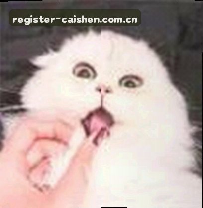 老李头